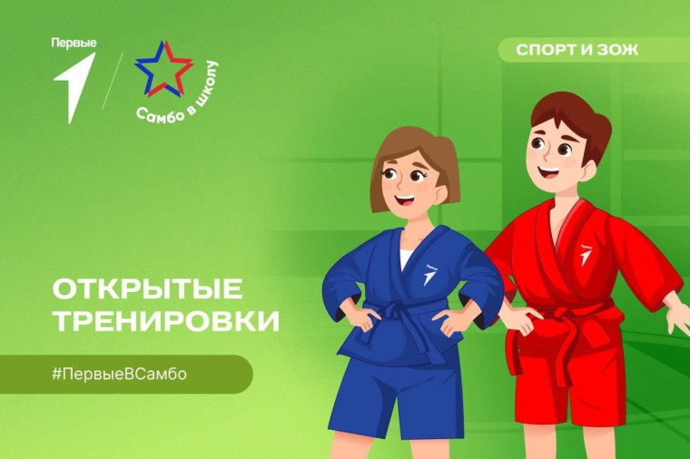 16 ноября — Всероссийский день самбо..